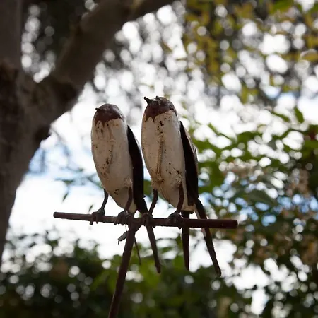 La Pulcia 格拉达拉